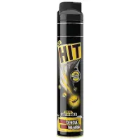 HIT Mosquito & Fly Killer Spray, 625 ml