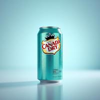 Canada Dry Ginger Ale